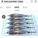 [충남 보령]24. 9. 2. (월) 6물 주꾸미 전투낚시 &#34;메이저호&#34;