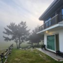 스테이코스트 이미지