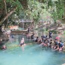 태국골프 그린월드 소식지 이미지