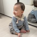 두사 | 사두 단두 셀프 교정 후기 / 엘라바 두상베개 추천 이유