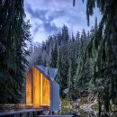 자연의 둥지 이미지