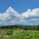 노을빛 정원 이미지