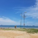 구례포 야영장 이미지