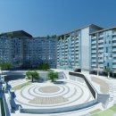 위도 아일랜드 이미지