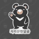 구례애 이미지