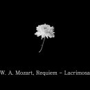 삼가고인의 명복을 빕니다. 모차르트, 레퀴엠 - III. 눈물의 날 :: W. A. Mozart, Requiem, K.626 이미지