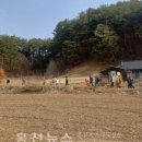 고양산아람마을(풍암2리) 이미지
