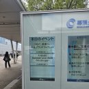 아니 - 강남구 삼성로145길 11-6 | 260710) 아니사마 2026 1일차 후기
