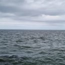 펜션보타닉