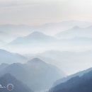 바람커피 이미지