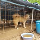 울산농장 이미지