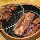 한돈소