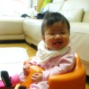 시우시우 이미지