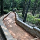 희망대공원길 이미지