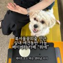뮈에베이커리 | 성북구 애견동반카페 '뮈에' 북서울꿈의숲 피크닉 후 가기 딱 좋은 베이커리 맛집
