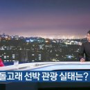 [KBS 대담] 돌고래 위협하는 선박 관광…실태는? 이미지