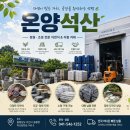 온양 | 내가 돌을 사러 석산에 오다니 돌무새가 된 아저씨의 하루 인스타에서 유명한 아산 온양석산 방문 후기