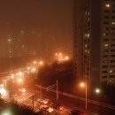 밤안개 - 수원시 장안구 | 밤안개