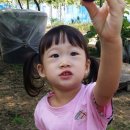 수민농장 이미지