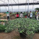 부여군농업기술센터 이미지