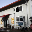 용인랜드 숲속캠핑장 이미지