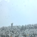 산골식당 | 인제 황태 맛집 산골황태3대식당 내돈내산 후기