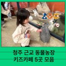청주 근교 키즈카페&amp;동물농장 모음 동물을 좋아하는 아이와 가기 좋은 곳 추천 5가지