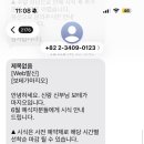마지오