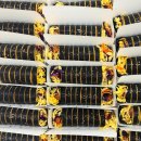 김밥카페 이미지