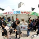 강진-16 이미지