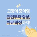 와우 동물병원 이미지