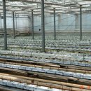 유리농장 이미지