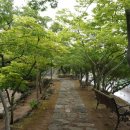 대방굴항 이미지