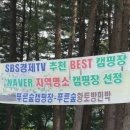 푸른숲캠핑장 이미지