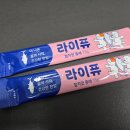 강아지 유산균 고양이 츄르 바이트라이프 라이퓨 급여 후기