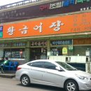 황금어장 티스토리
