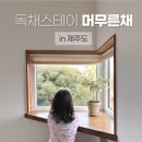 머무른채 네이버블로그