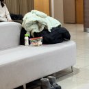 삼성맘편한신경과의원 | 임신 14주~19주 , 2차기형아검사, 임산부빈혈, 성별공개, 이쁜임부복추천, 전남친순대, 창원베이비페어...