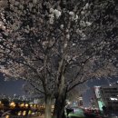 시네마안경원 이미지