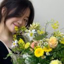 헤쎄드플라라 이미지
