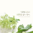 별이랑 Daum카페