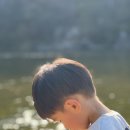 KTGRZ태권도 이미지