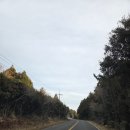 주말요가 | 제주요가원데이 에가톳웰니스센터 주말 모닝요가 후기(신선한 피톤치드향은 덤이예요)