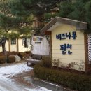 버드나무펜션