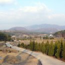 죽엽산농장 Daum카페