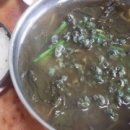 옥순대교 이미지