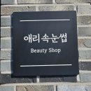 애리속눈썹 이미지