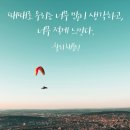 신안한방병원 | 25년 6월 이야기, 26일은 구기자나무가 십장생 중 하나로 여겨진다니 욕심나지만 지금 당장은 비인두암...