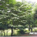 절물자연휴양림 이미지