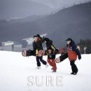 그레이